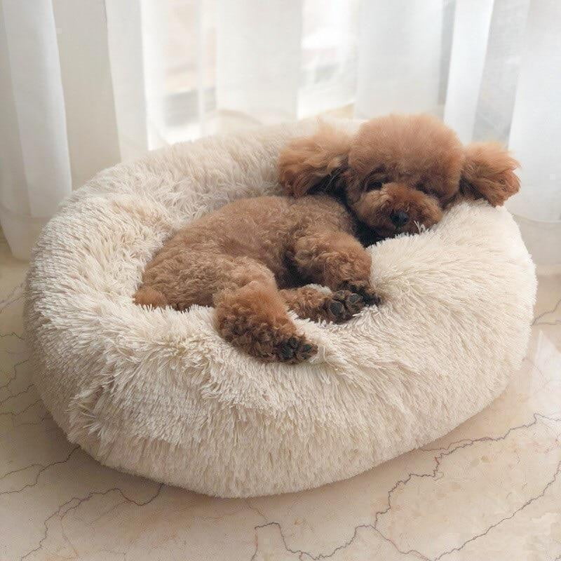 Calming Dog Bed