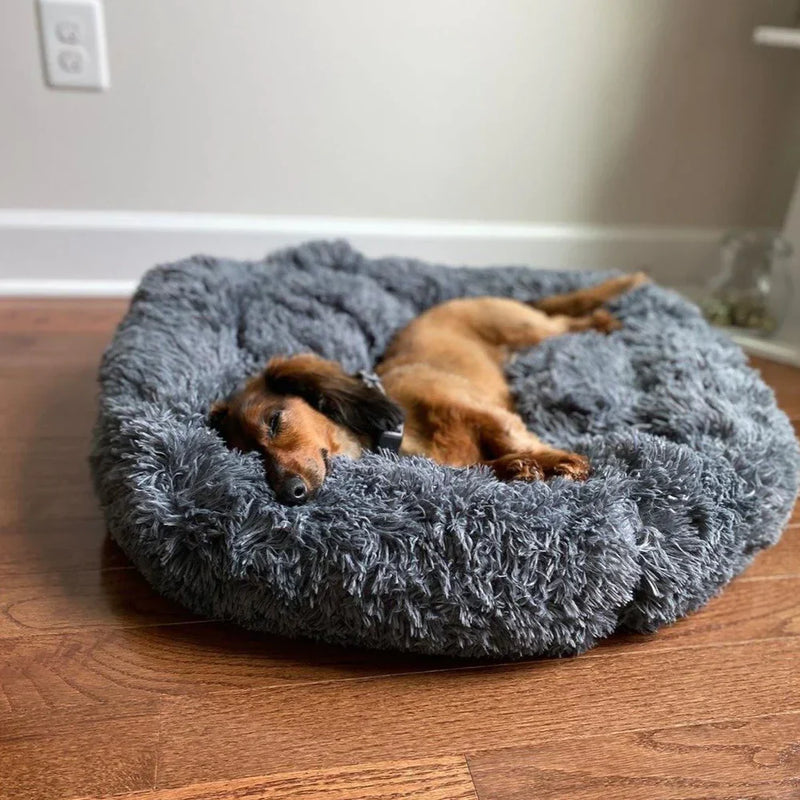 Calming Dog Bed