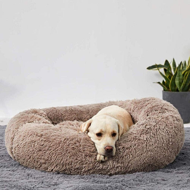 Calming Dog Bed