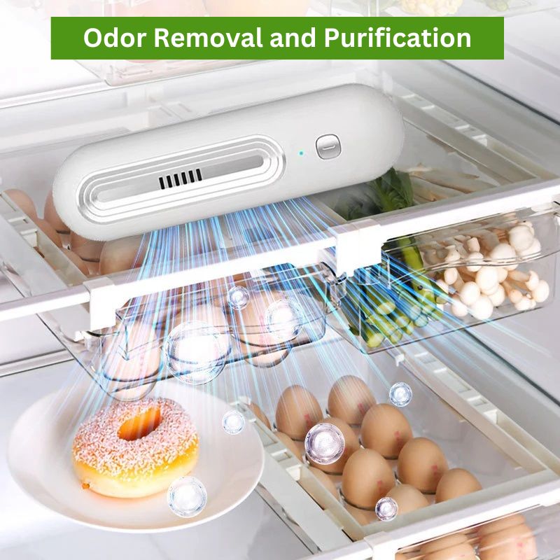 Fridge Odor Eliminator