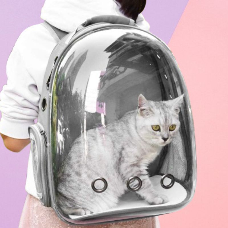 Breathable Space Capsule Pet Carrier for Cats and Dogs