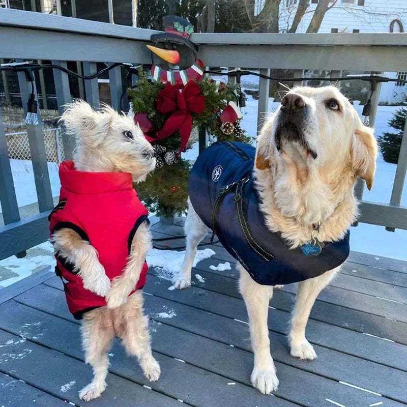 Waterproof Dog Jacket for Winter with Reflective Built-In Harness