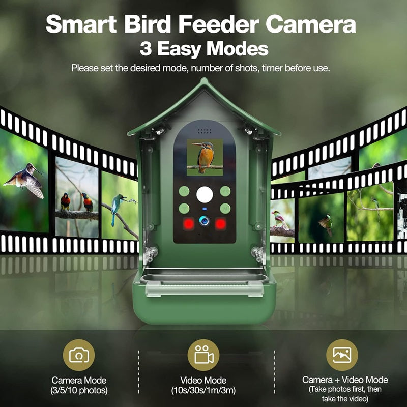 Smart Bird Feeder with PIR Motion Detection and Auto Capture